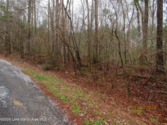 OLD HICKORY RD, ALEXANDER CITY, AL 35010, photo 2 of 4