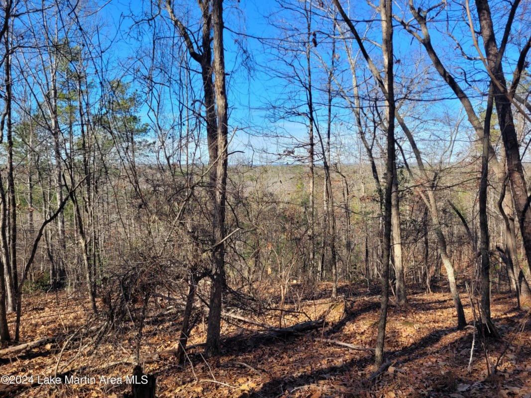 19 ACRES ANDREWS MILL RD, TALLASSEE, AL 36024, photo 1 of 6