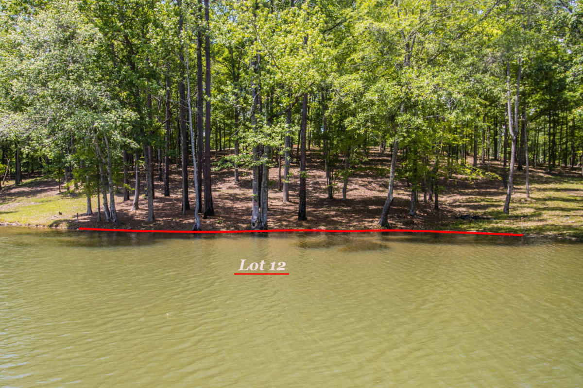 33 TRANQUIL LN, DADEVILLE, AL 36853, photo 1 of 15