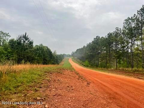 WEBSTER FORD RD, TALLASSEE, AL 36078, photo 4 of 5