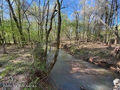 0 COUNTY ROAD 89S, CAMP HILL, AL 36850, photo 3 of 6