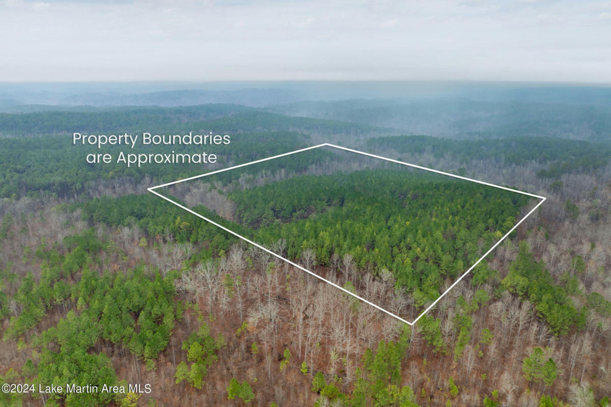 +/- 38 ACRES ROCK SPRINGS RD, JACKSONS GAP, AL 36861, photo 1 of 5