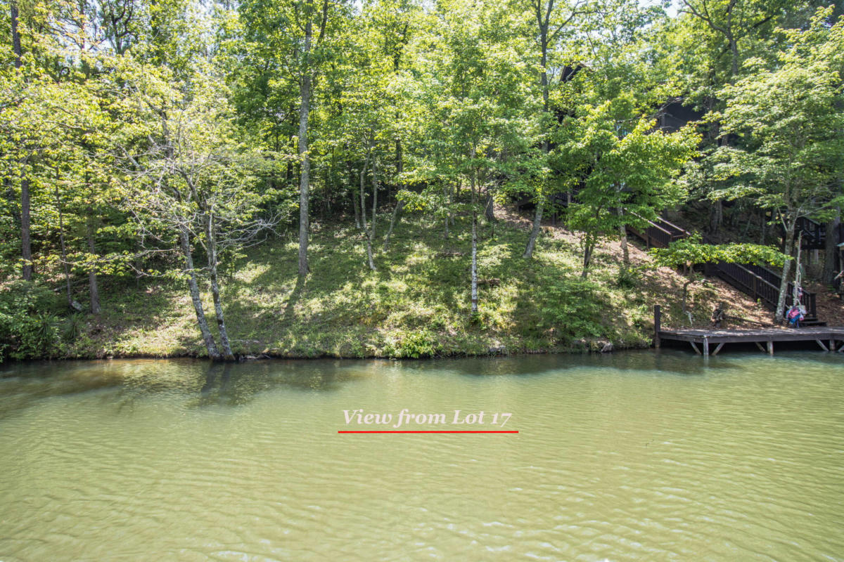 68 TRANQUILITY PT, DADEVILLE, AL 36853, photo 1 of 17