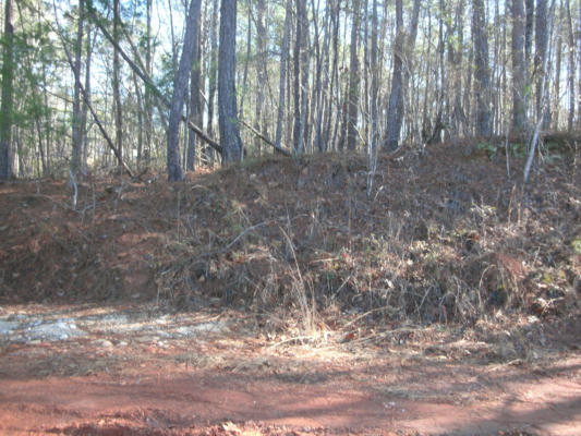 0 BLUEBERRY RD, DADEVILLE, AL 36853, photo 3 of 6