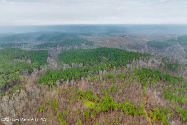 +/- 38 ACRES ROCK SPRINGS RD, JACKSONS GAP, AL 36861, photo 2 of 5