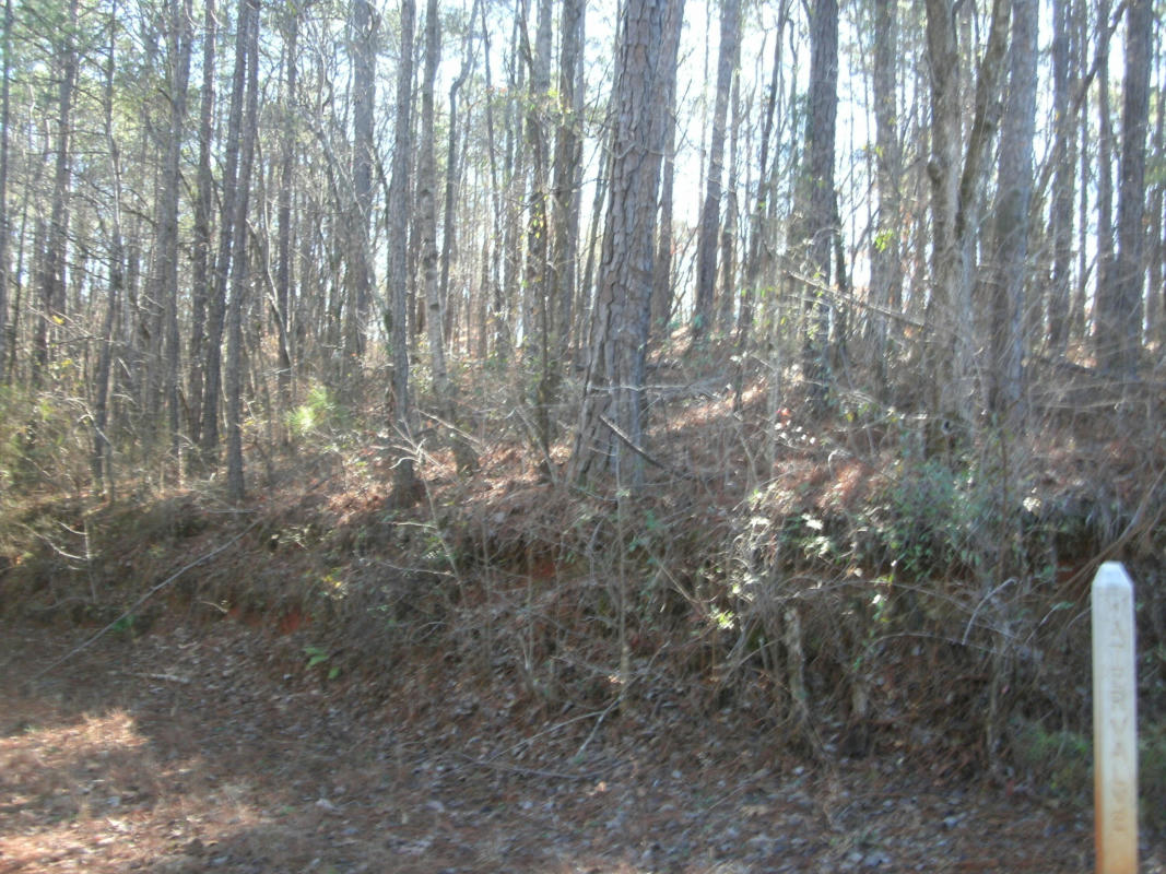0 BLUEBERRY RD, DADEVILLE, AL 36853, photo 1 of 6