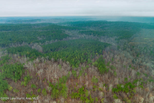 +/- 38 ACRES ROCK SPRINGS RD, JACKSONS GAP, AL 36861, photo 3 of 5