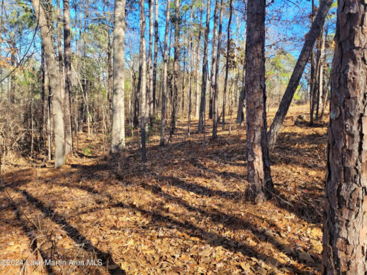 19 ACRES ANDREWS MILL RD, TALLASSEE, AL 36024, photo 4 of 6
