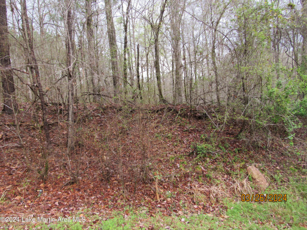 OLD HICKORY RD, ALEXANDER CITY, AL 35010, photo 1 of 4