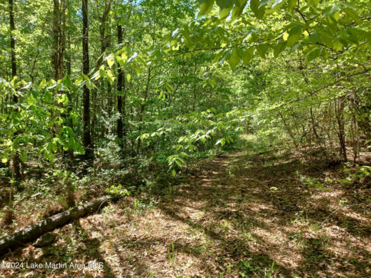 WALLS RD, GOODWATER, AL 35072 - Image 1