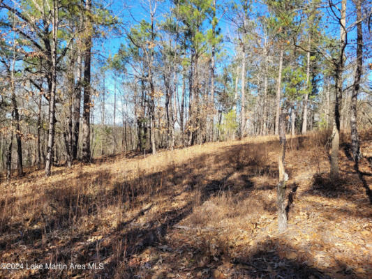 19 ACRES ANDREWS MILL RD, TALLASSEE, AL 36024, photo 3 of 6